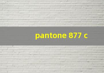 pantone 877 c